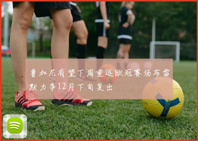 鲁加尼有望下周重返欧冠赛场布雷默力争12月下旬复出
