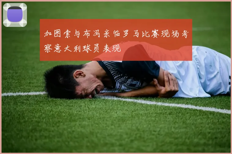 加图索与布冯亲临罗马比赛现场考察意大利球员表现