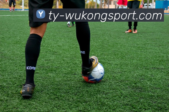 悟空体育平台生态图