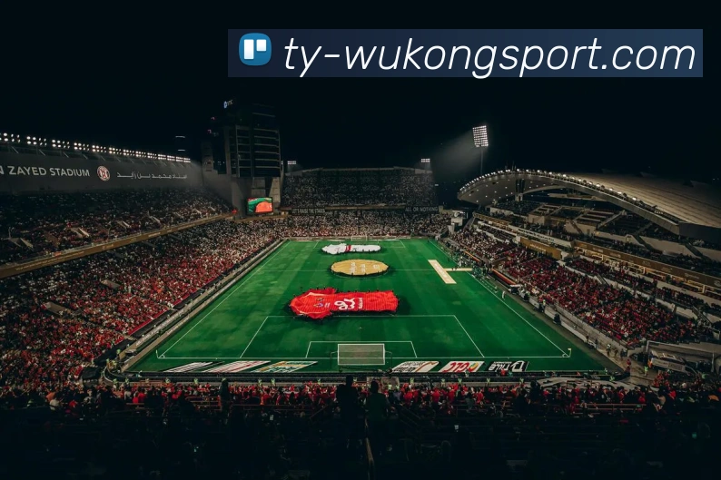 悟空体育APP 封面图